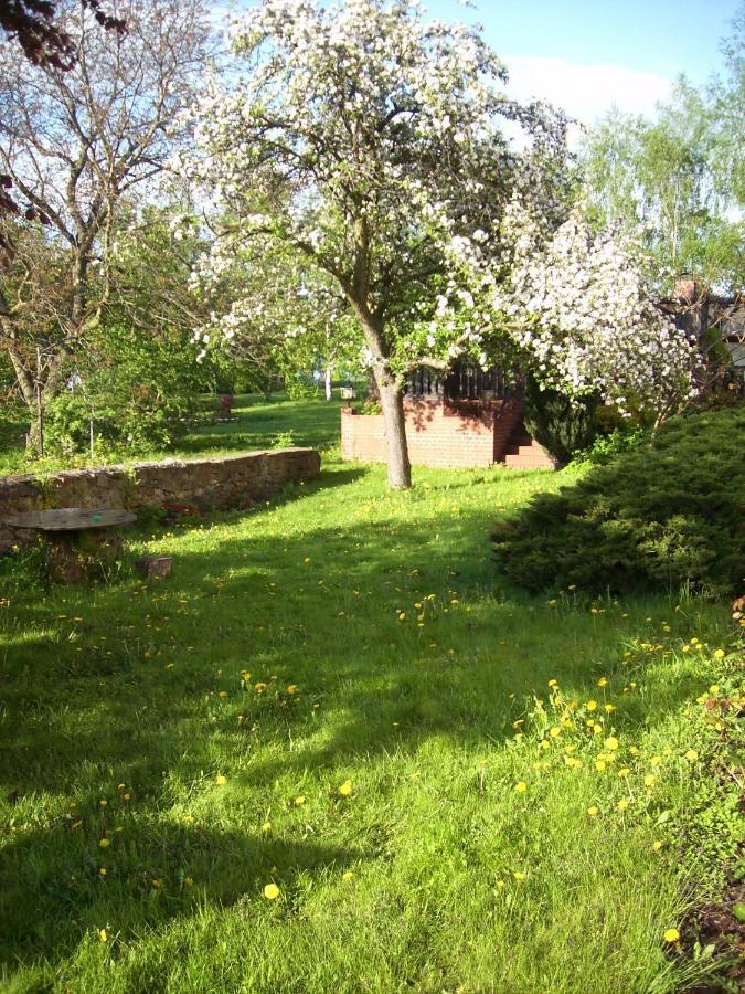Appartamento Schwalbennest Kaisitz Esterno foto
